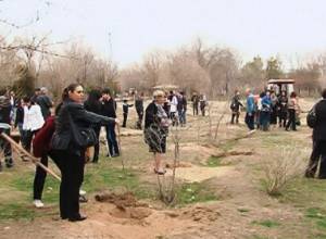 Директор парка написал заявление