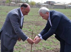 Серго Карапетян посадил дерево