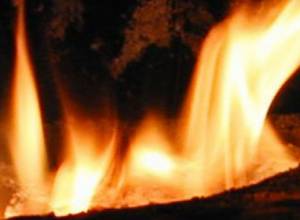 Сгорели улья