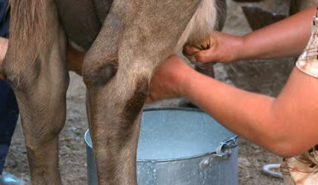 cb4f441236c224aa11a73d9b379682c5