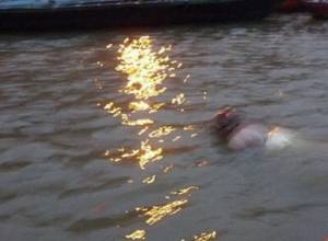 Гражданин упал в озеро