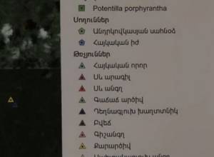 Чем не потчевать принца?