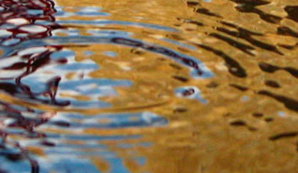 52e8e601acc303fbebcee229cfae8f3a