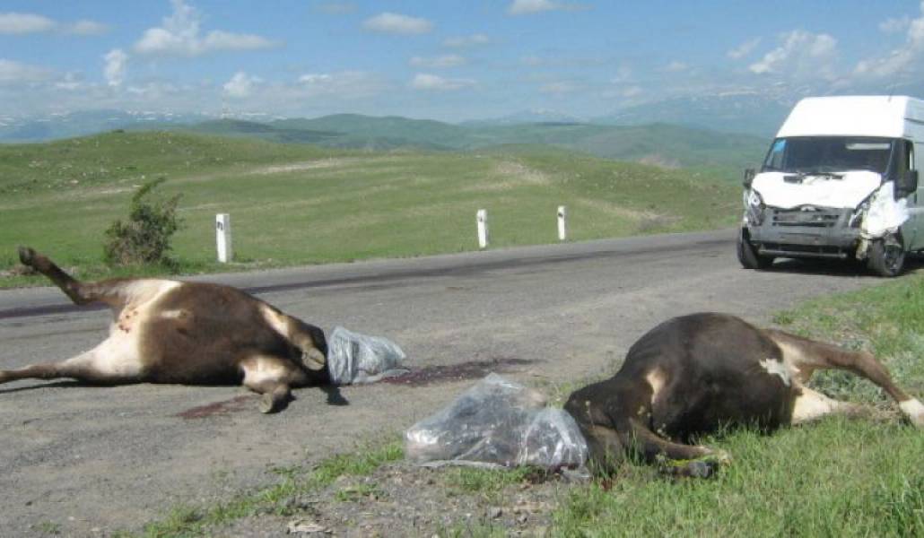 18ab65b7f7b2b9ad7bb87112c2d725c8