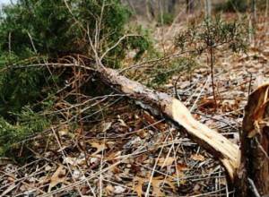 Модель экологических рисков