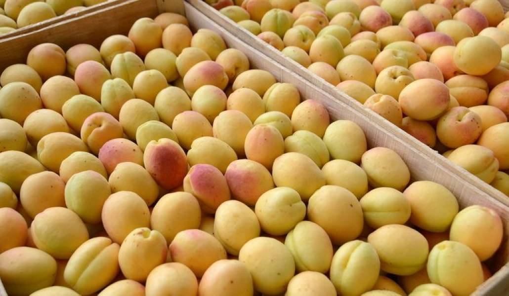 d2ca2553fb4bdaac8cbdeae640138f6d