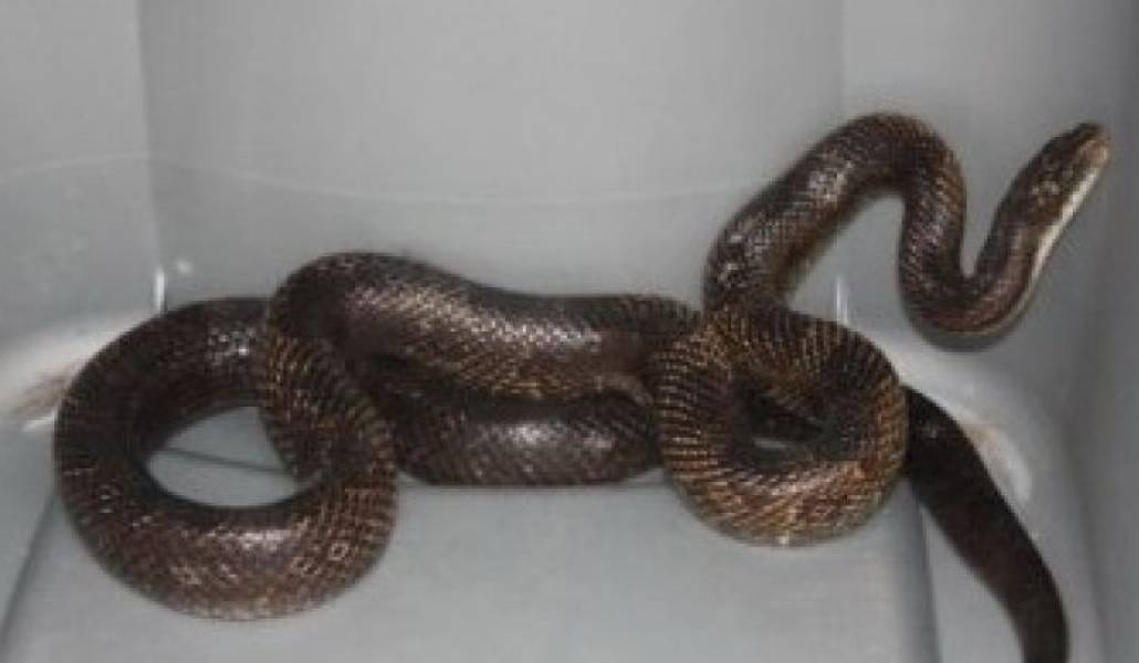 309771b4a526525b0f64467f388567fa