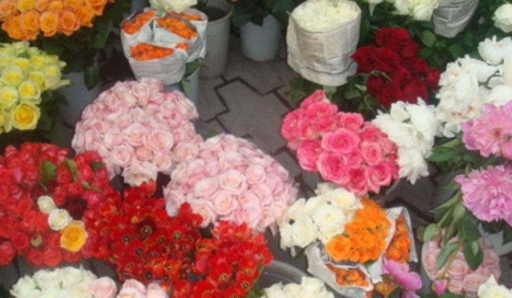 6bde0f77d05c864a8a1c2bda5c3a2267