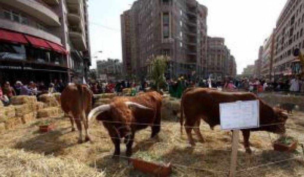 5eb87100757eb1432df5aba079ceea45