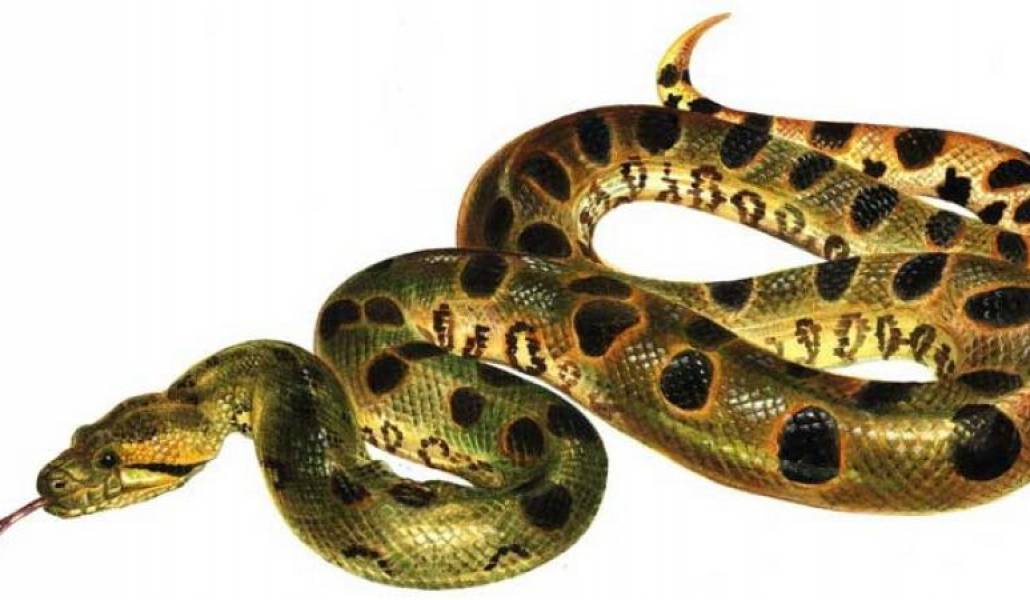 562c28f695cb910e78b918a642ba1636