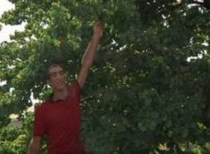 Мечта самого высокого человека