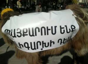 Овцы в сквере Маштоца