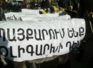 В парк Маштоца привели ослов