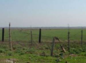 Произведено свыше 1000 выстрелов