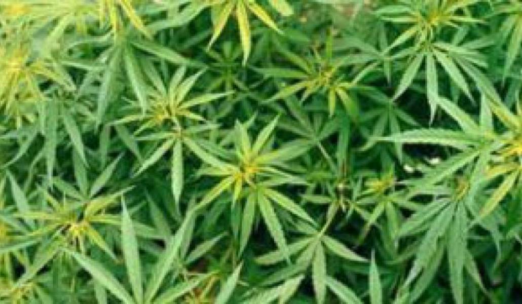 c602ba9848c4295dcb17cdc006201252