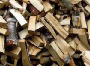 Незаконная вырубка деревьев