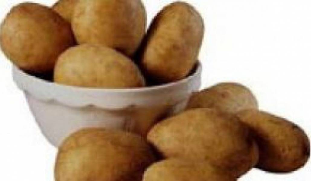 ee92bd85214d8c33844b813e1a63b515