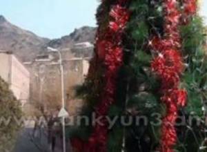 Двухметровая ель