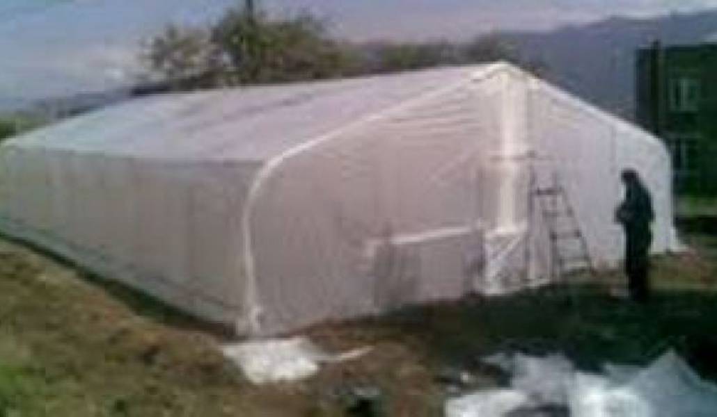 8b963b2142e814e8a63a7ea2abad0c2b