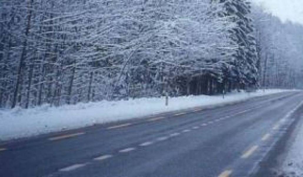 04e8305c4e91cd0a63823bbbe5625c01