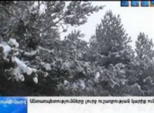 Контролируют на 4 часа больше, но без лошади