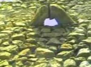 "A1+" archive / Encyclopedia: Amaras