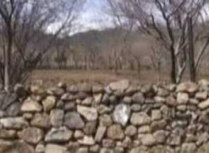 27.04 News digest: A1+ mobile