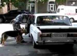 Կեղծ ահազանգ