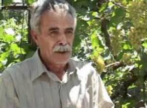 Ձմերուկները չեն վաճառվում