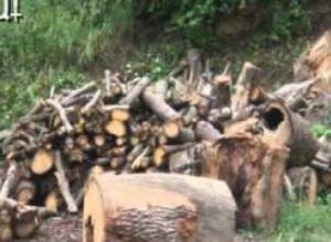 Ձմռանը սարսափելի ցուրտ է լինելու