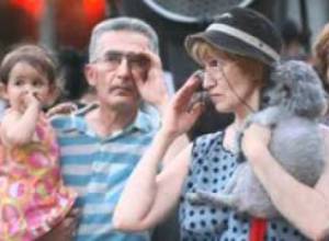 Էտյուդ. Թափառող շներ.Ֆոտոլուր