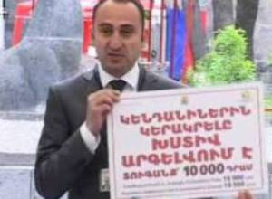 Կենդանիներին կերակրողները կտուգանվեն