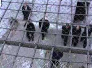 Ցմահների խնդիրների մասին