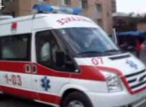 Զգուշացեք թափառական շներից