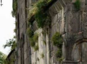 Ընդամենը 10լ ձեթ