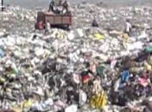 Աղբանոցում կյանքն աշխուժանում է կեսօրից հետո