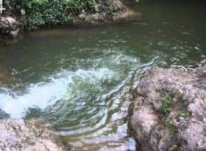 Through Your Eyes...weekly report