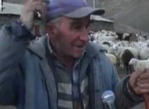 Երեքոտնյա գառնուկը