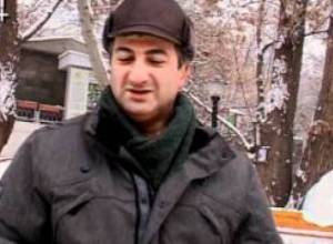 Տոնածառներ գազանանոցում