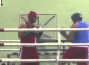 Երկրպագուները միմյանց ծեծել են