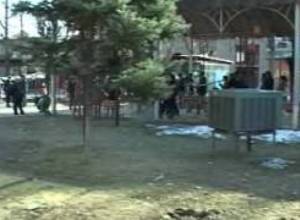 Մաշտոցի պուրակում