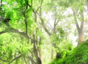 Քո աչքերով/պատմում են քաղաքացիները լուսանկարներով/