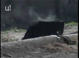 Ծառերը այրել են