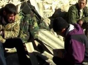 Գայլերը հարձակվել են ոչխարի հոտի վրա