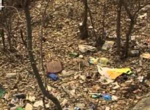 Բուսաբանական այգին վերածվել է աղբանոցի