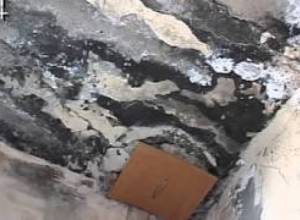 «Ո՞ւմ ենք մենք պատկանում»