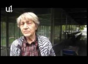 «Ես օրինականություն եմ պահանջում,իրանք ինձ ուղարկում են ծերանոց»