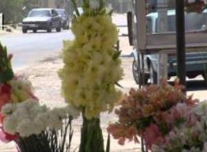 Ջերմոցները փակվում են գազի գնի պատճառով