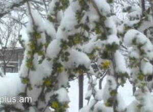 Ձյունը մեր գլխին.....