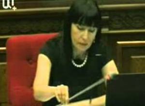 Սեւանի մասին նախագիծն ընդունվեց. ԲՀԿ-ն կողմ քվեարկեց